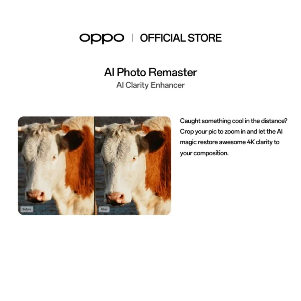 OPPO Find X8 Smartphone | 16+512 | MTK 9400 | Hasselblad Portrait | Al Telescope Zoom | Lightning Snap